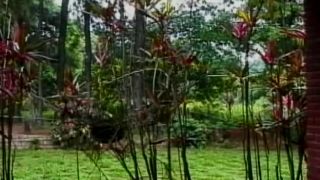 18 And Transsexual 6 Scene 1