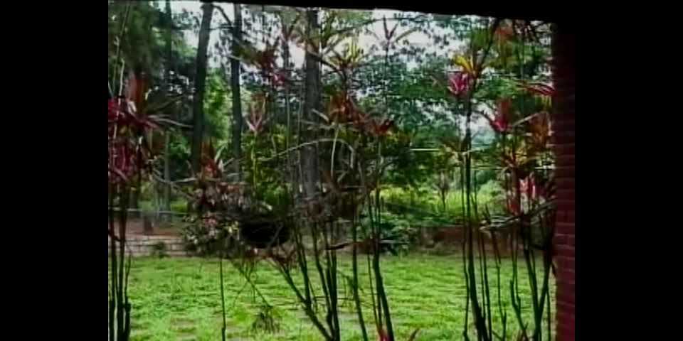 18 And Transsexual 6 Scene 1