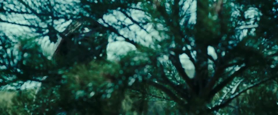 Cortney Palm, Courtney Jane White - Silent Night ( 2012) HD 1080p - (Celebrity porn)