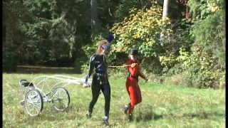 Casa de Gord14 10 31 Endza & Ivy - Paseo de la mañana de Ivy