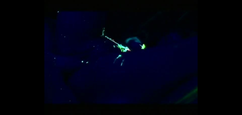 EvaAngelinaColección Todo Sobre Eva Angelina - sc5