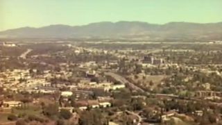 7133 double standards