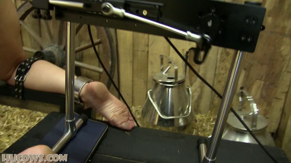 adult video clip 35 lesbian bdsm shemale bdsm porn | Ariel red cow milker and fucking machine [Full HD 1.01 GB] | ariel