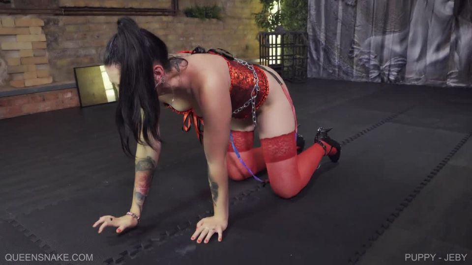 Jeby, QS - Puppy - Jeby hardcore bdsm
