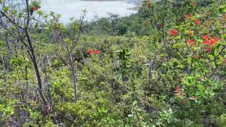 Onlyfans - Angel Emily - angelemilyxxxx - angelemilyxxxxCoucou les chris Viens voir cette bonne pipe au milieu devant le Glacier en Argentina - 07-05-2020