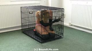 BoundLife SiteRip_bl446