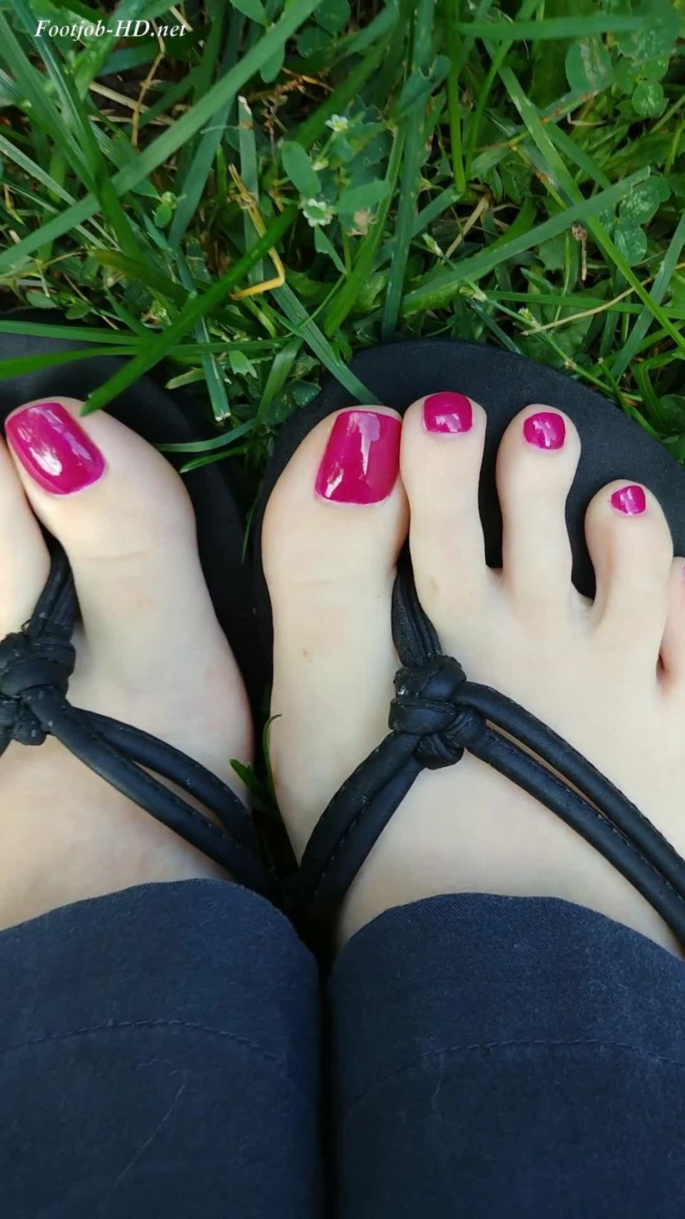 Sloans Paws - 77  sloans patas  femdom porno aletta ocean femdom