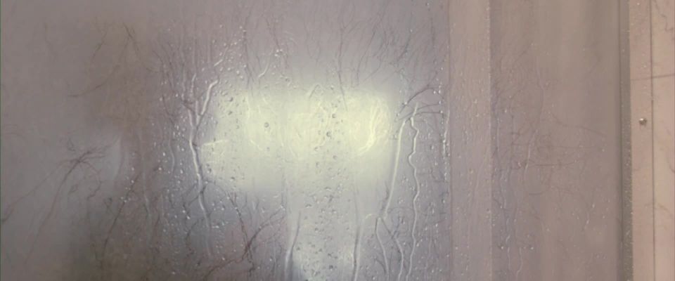 Qing Xu - 24 Horas para Vivir (2017) HD 1080p - (Celebridad porno)