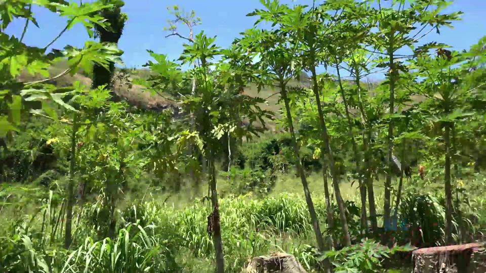 Lola Fae's Hiking Adventure Must-See Outdoor Date