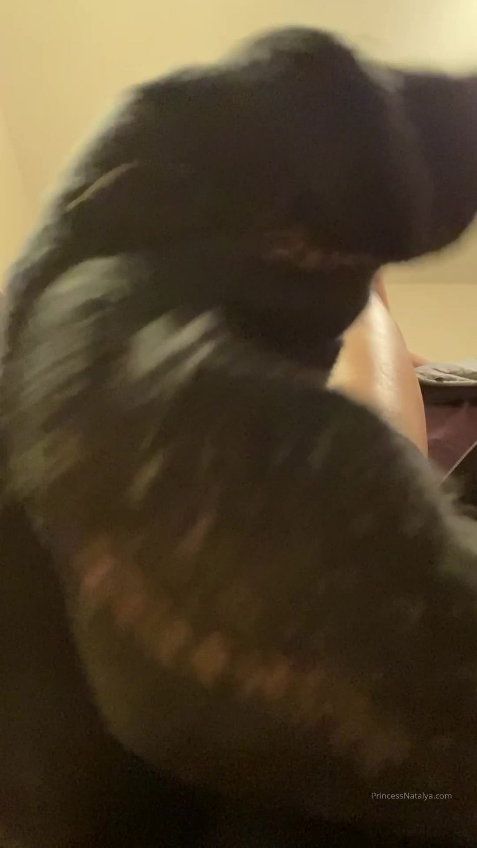 Onlyfans - Goddess Natalya Vega - thenatalyavega - thenatalyavegaI want every spec of rubble and every wrinkle licked  clean - 24-10-2019