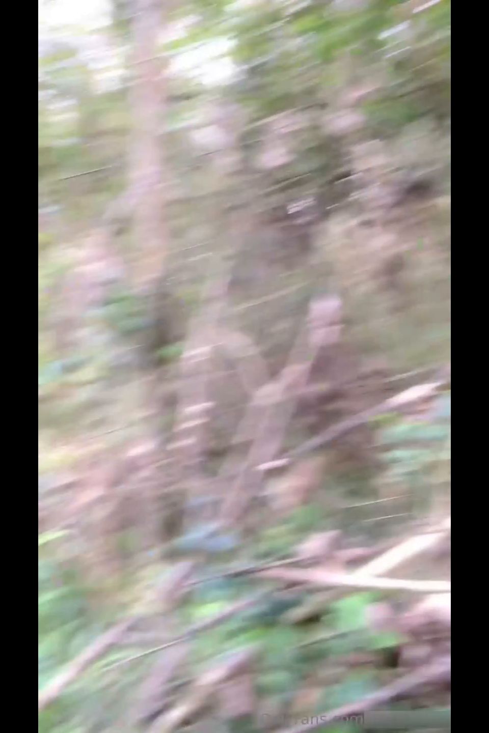 Black Alien Y Su Novia Onlyfans (Amateur porn)