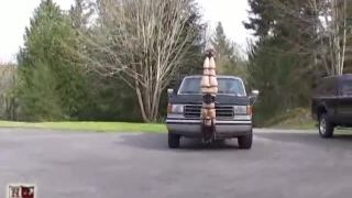 Casa de Gord17 04 07 Flor silvestre - Adorno de la capucha invertido (Escena)