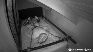 7125 Chain Web - Rachel Greyhound