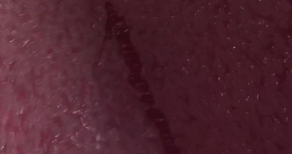 xworld666 - Futanari Tener sexo con Big Dick 3d