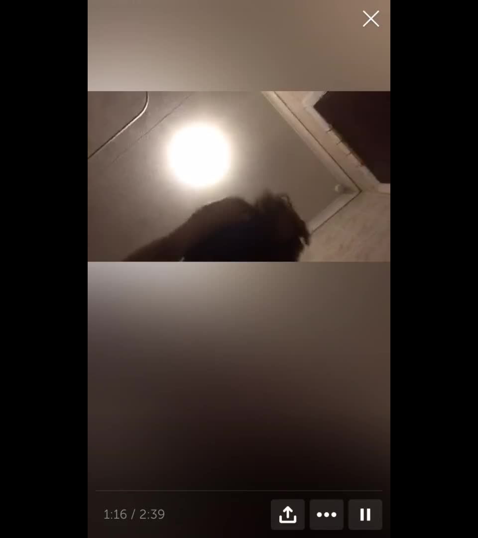 online adult video 44   webcams softcore  webcam