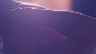 Annette Bening - Estrellas de cine Don't Die In Liverpool (2017) HD 1080p - (Celebrity porn)