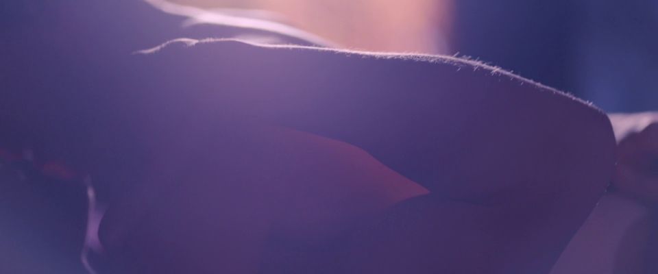 Annette Bening - Estrellas de cine Don't Die In Liverpool (2017) HD 1080p - (Celebrity porn)