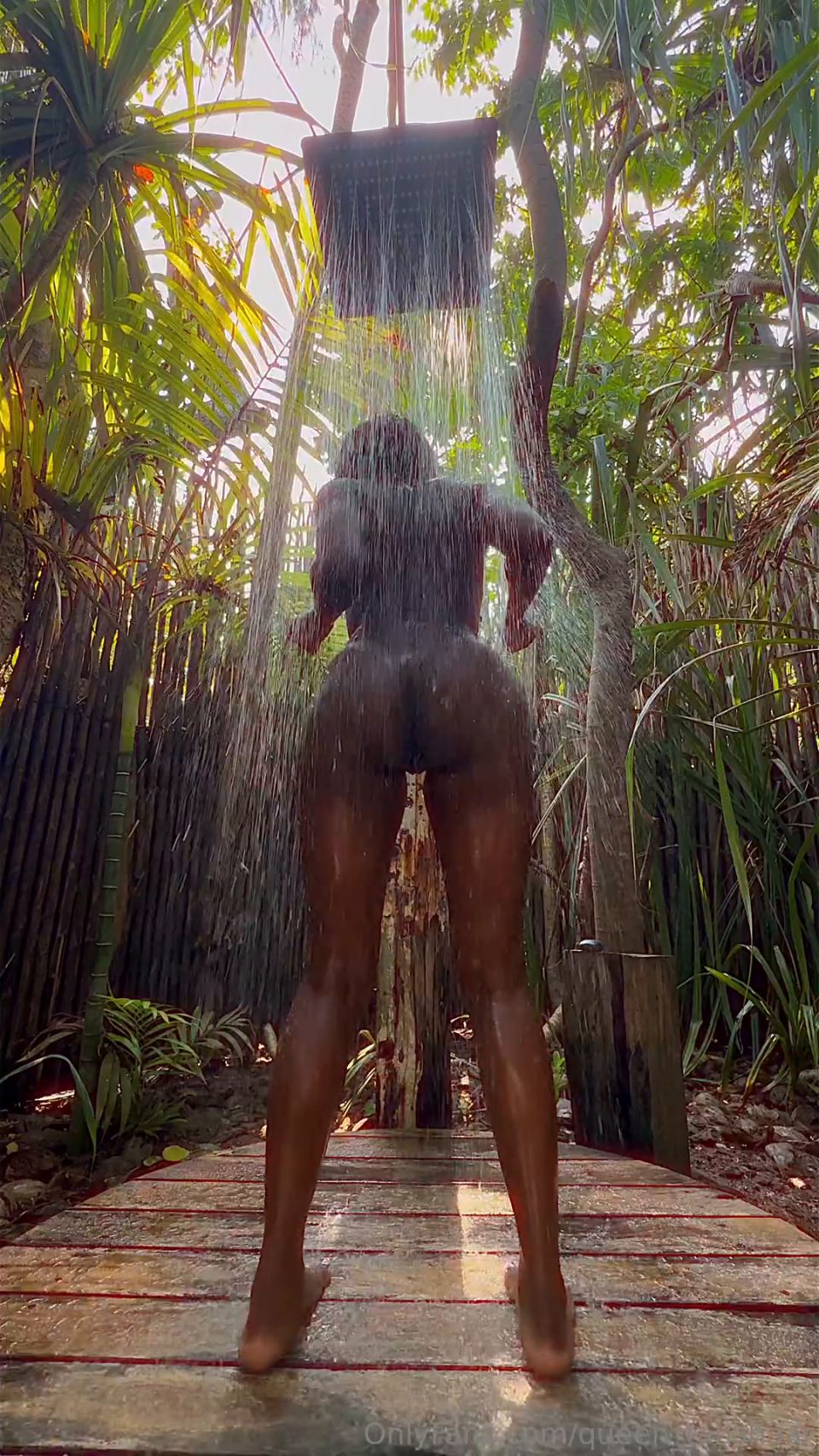 queen tahshaar qt050