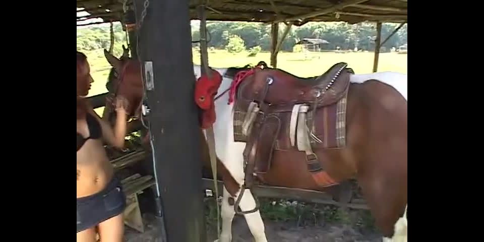 free video 32 xxx clip 2 adult xxx video 7 Horse Ranch Girls - sixty-nine - cumshot big ass pussy sexy, big ass tits pov hd on brunette girls porn  on anal porn big ass milf 1080p