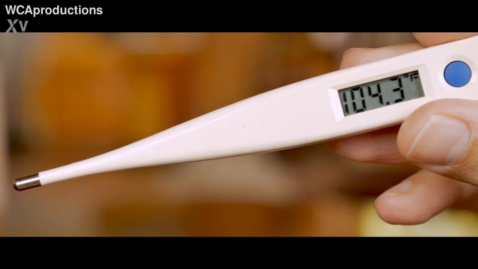 WCAProductions 2024 Lauryn Mae Stepmom Nursed Me Back To Health.