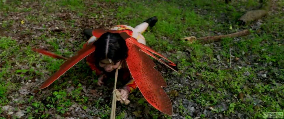 Just a Little Anal Bug in the Grass - Quick View Porn - ...