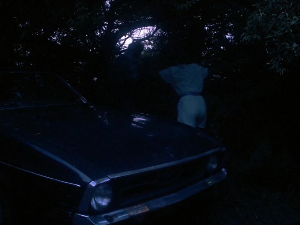 Sex Appeal (1986)(Vintage)