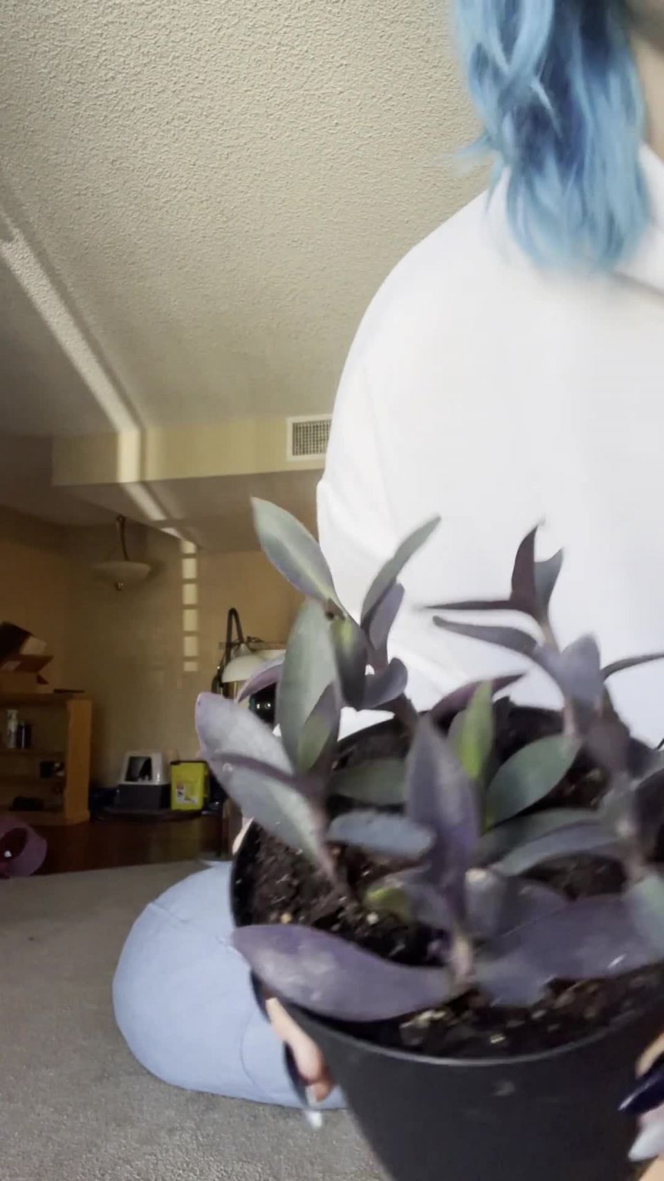 clip 15 LusciousxLuci – libre – mis plantas - sucio hablar - pov femdom castidad permanente