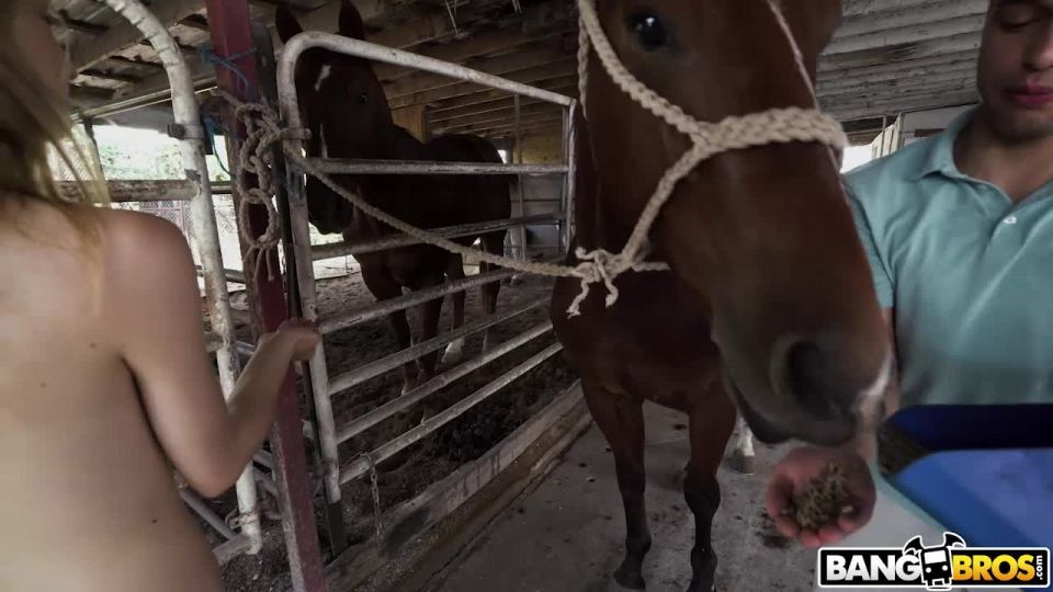 Johnny Love, Kristy May - Kristy May monta un semental.