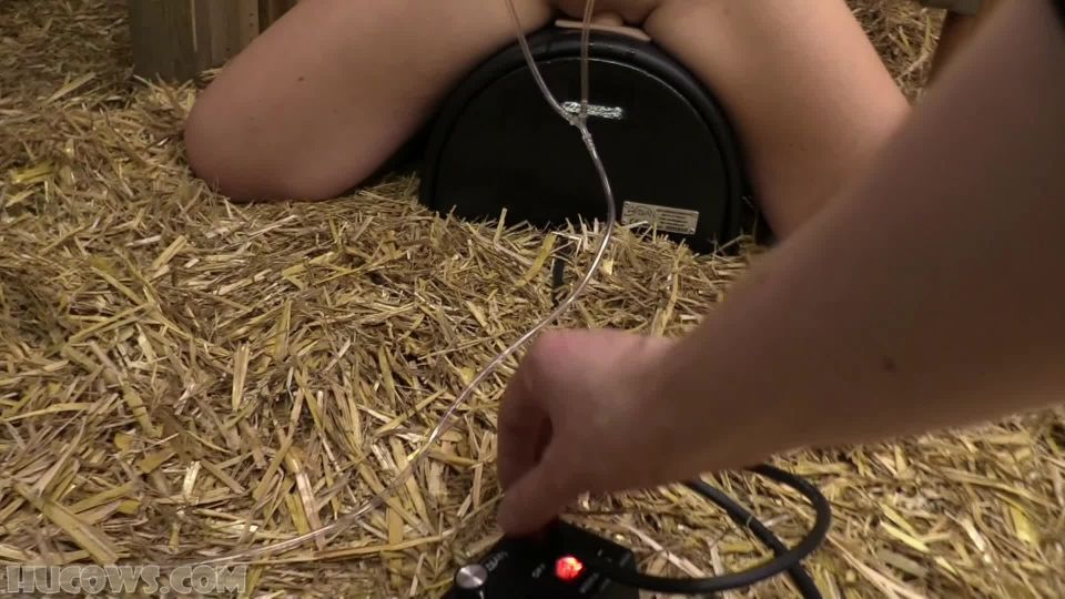 HuCows - Diamondlys nipple enlargement training - Breast training machine