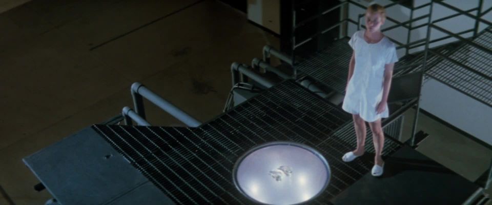 Susan Dey, Terri Welles - Looker (1981) HD 1080p - (Porno de Celebridad)