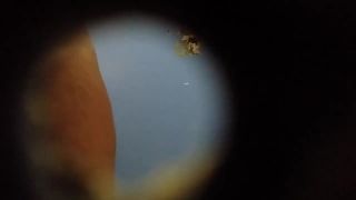 Hidden-Zone.com- Spy hole fresh pussy close