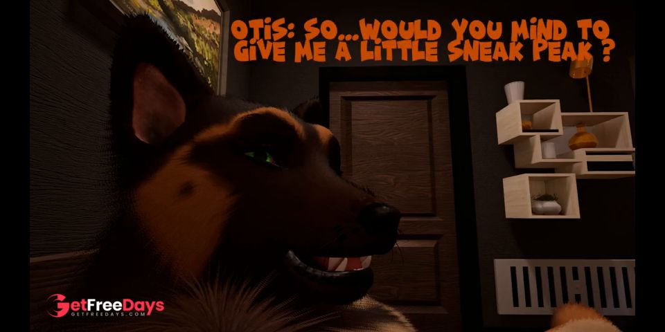 Medianoche Paws y Purrs Vida Salvaje