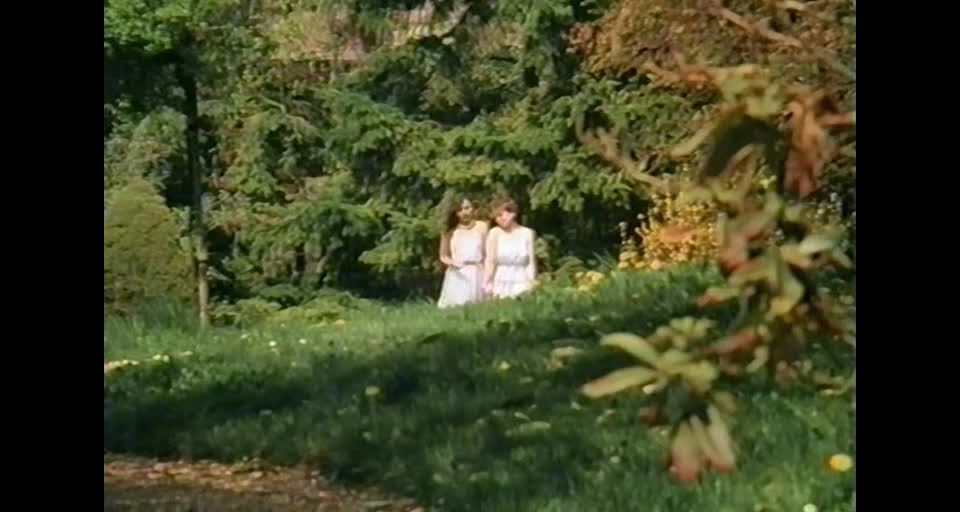 Petits trous bourgeois à dépuceler 1985