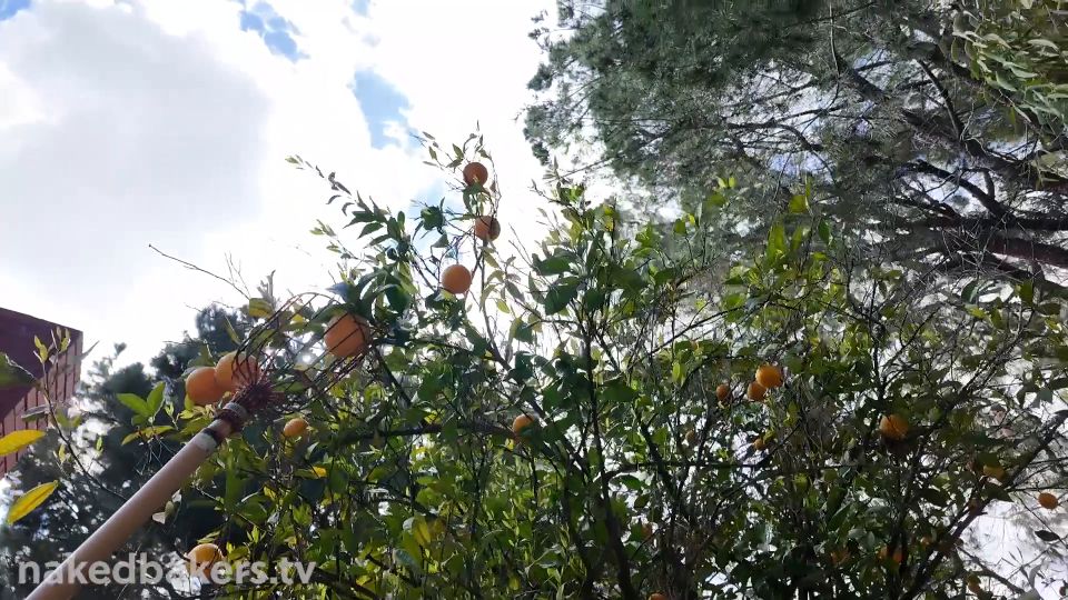 7190 Desnudándose en el patio trasero y colgando desnudo con el...