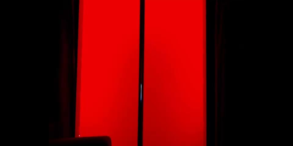 adult clip 49 shemales - shemale porn - 