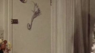 Sueco Erotica 44 – El arquitecto!!!