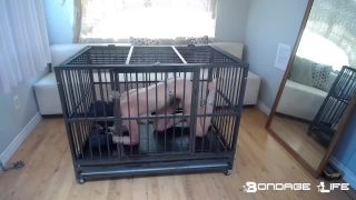 Playful Cage Time 07.02.21 Quick View Porn - New Sex Vide...