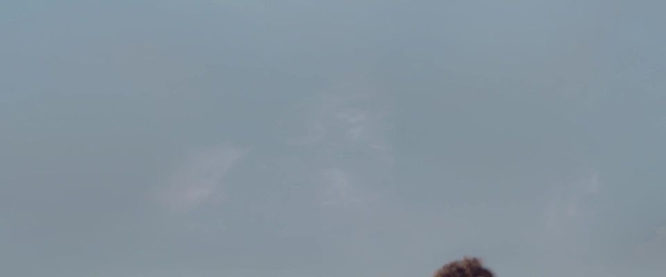 Alice de Lencquesaing, etc - Humaine (2016) HD 1080p - (Celebrity porn)