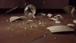 Une Femme nommée désir (1986) - (Vintage)