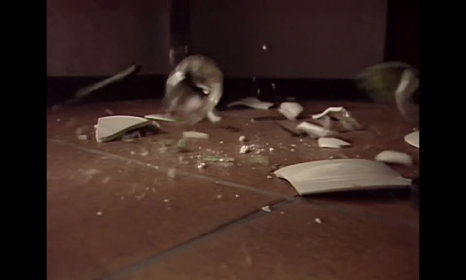 Une Femme nommée désir (1986) - (Vintage)