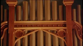 Man of Flowers (1983)!!!