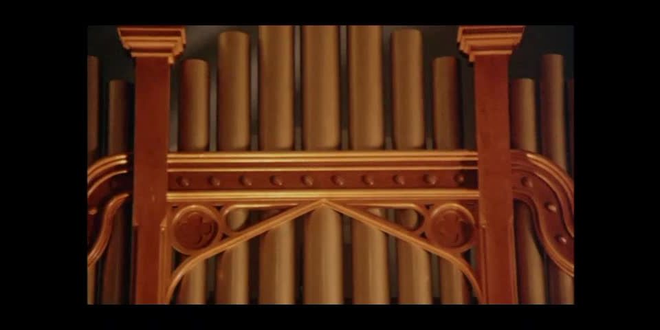 Man of Flowers (1983)!!!