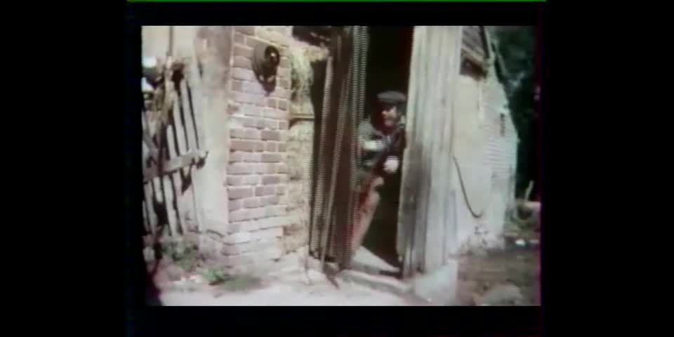 porn clip 36 young hentai xxx / classic / hardcore porn