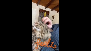 adult video clip 33 Onlyfans - Belthaneb - He demanded to be pet and who am I to deny him - 30-07-2021 - hardcore - hardcore porn free hardcore videos