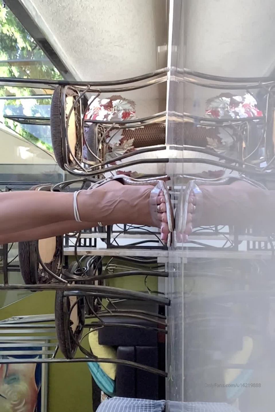 pies porno  queafeet -20652147- pies