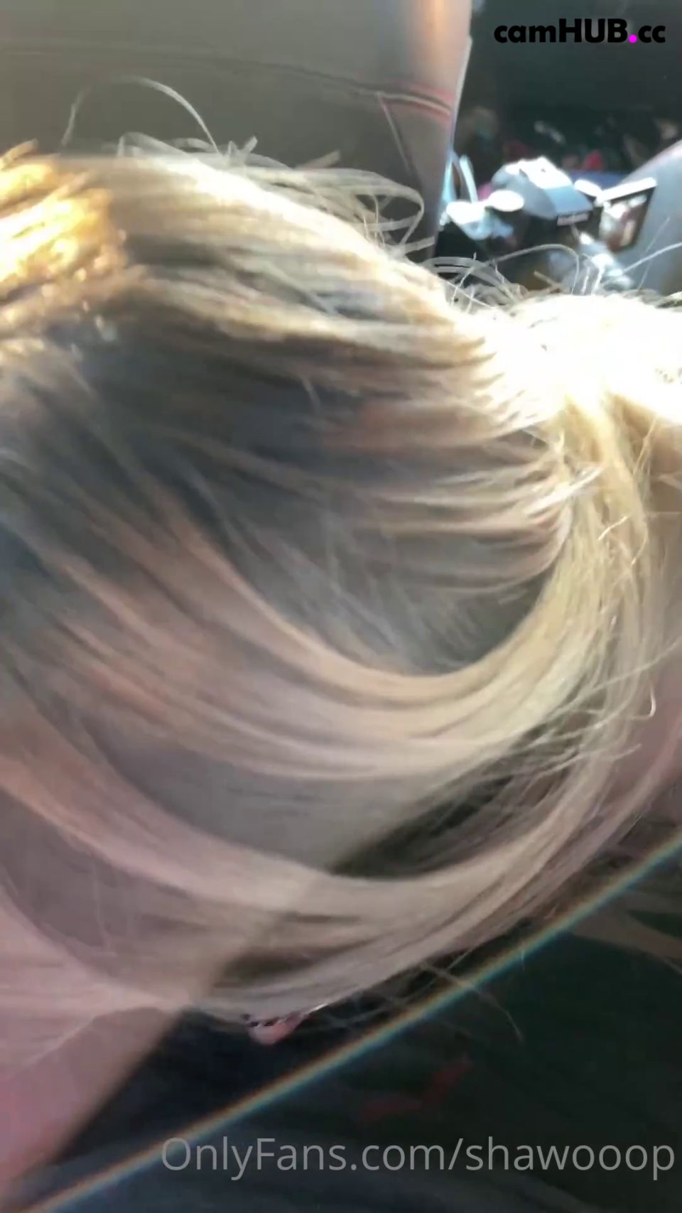 Shawoop 102024 Solo ventiladores mamada de coche (Pornstar)