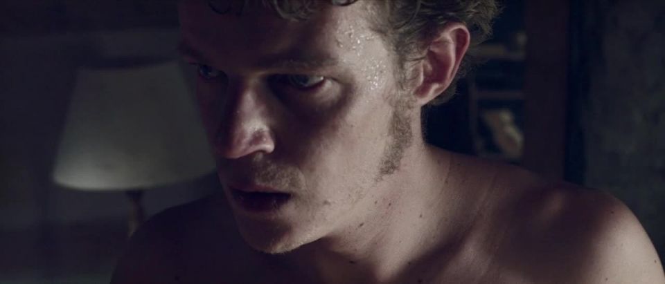 Hannah Kobitzsch, Anne Olsen, Antonia Papagno, etc - Studies on Hysteria (2012) HD 720p - (Celebrity porn)