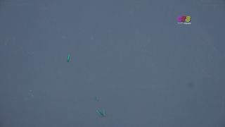 Custom Fetish - Bunny s Tongue Raspberries 4K - Fetish