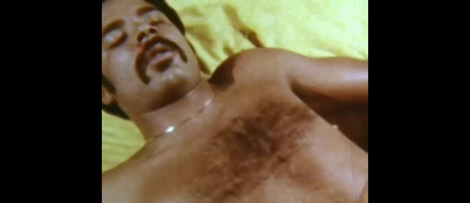 Swedish Erotica 312: Company Coming (1979)!!!