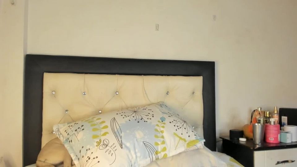 Webcams transexuales Video para el 30 de enero de 2022 – 15 webcam